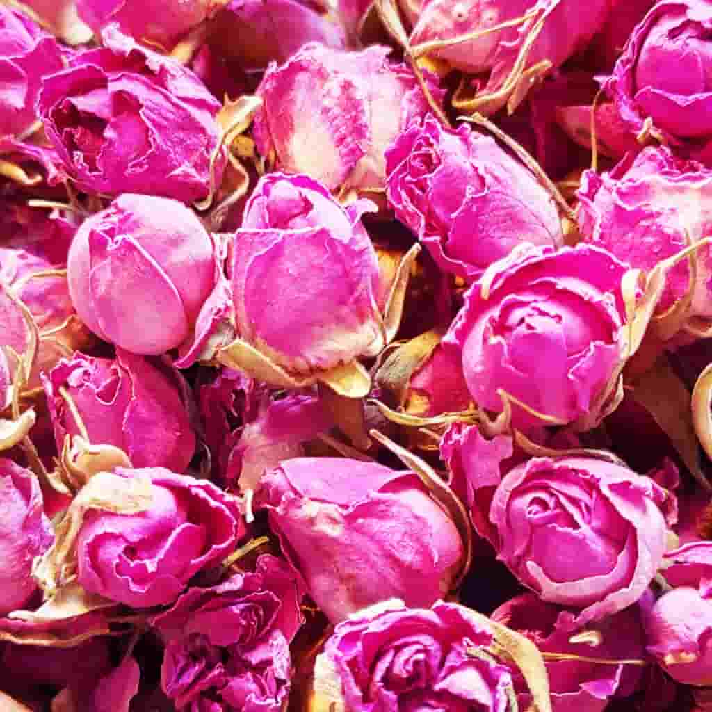 تصویر 1 از غنچه گل محمدی خشک با استاندارد کیفیت